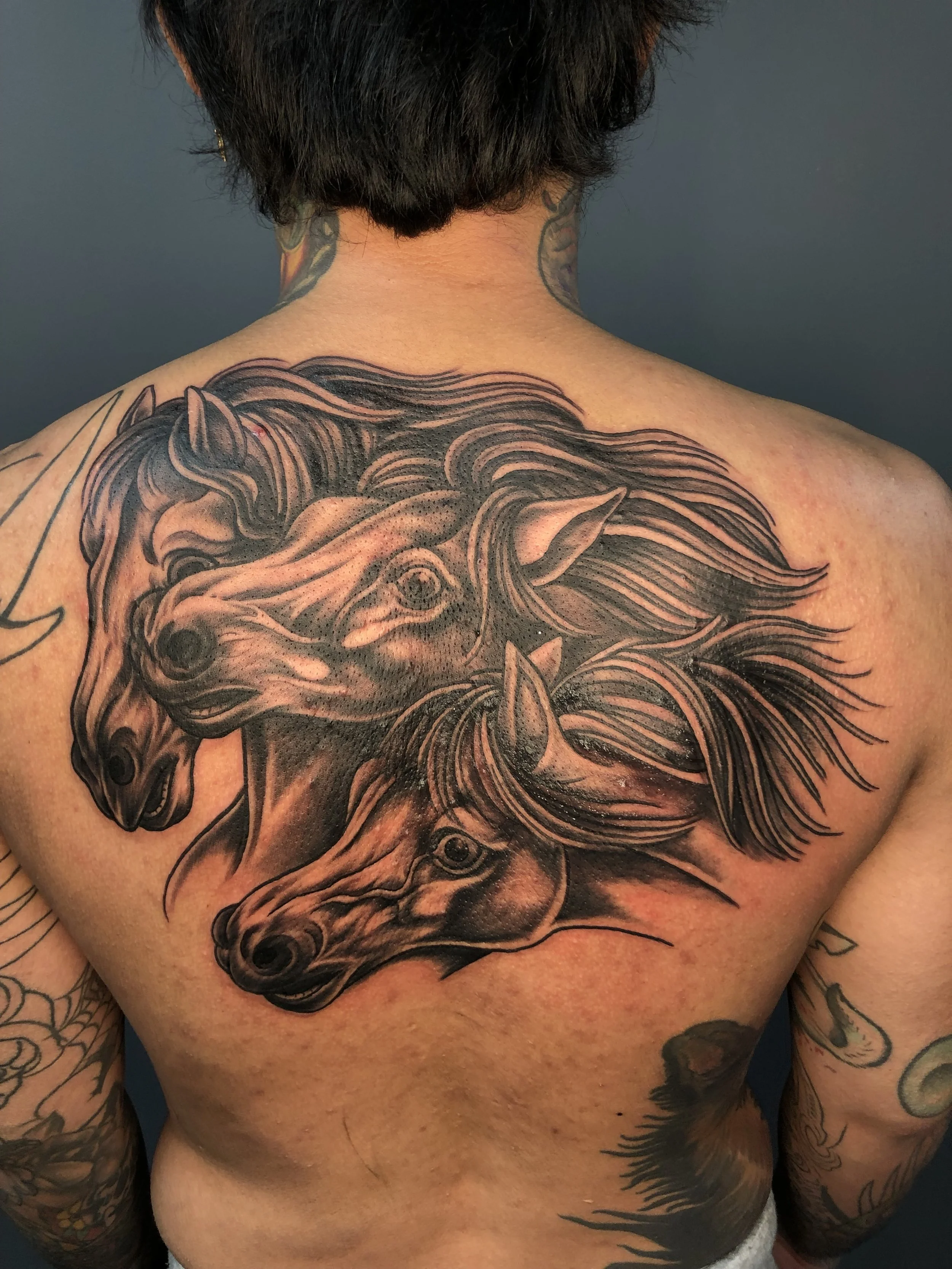 Tattoo of three detailed horse heads with flowing manes on a person's upper back.