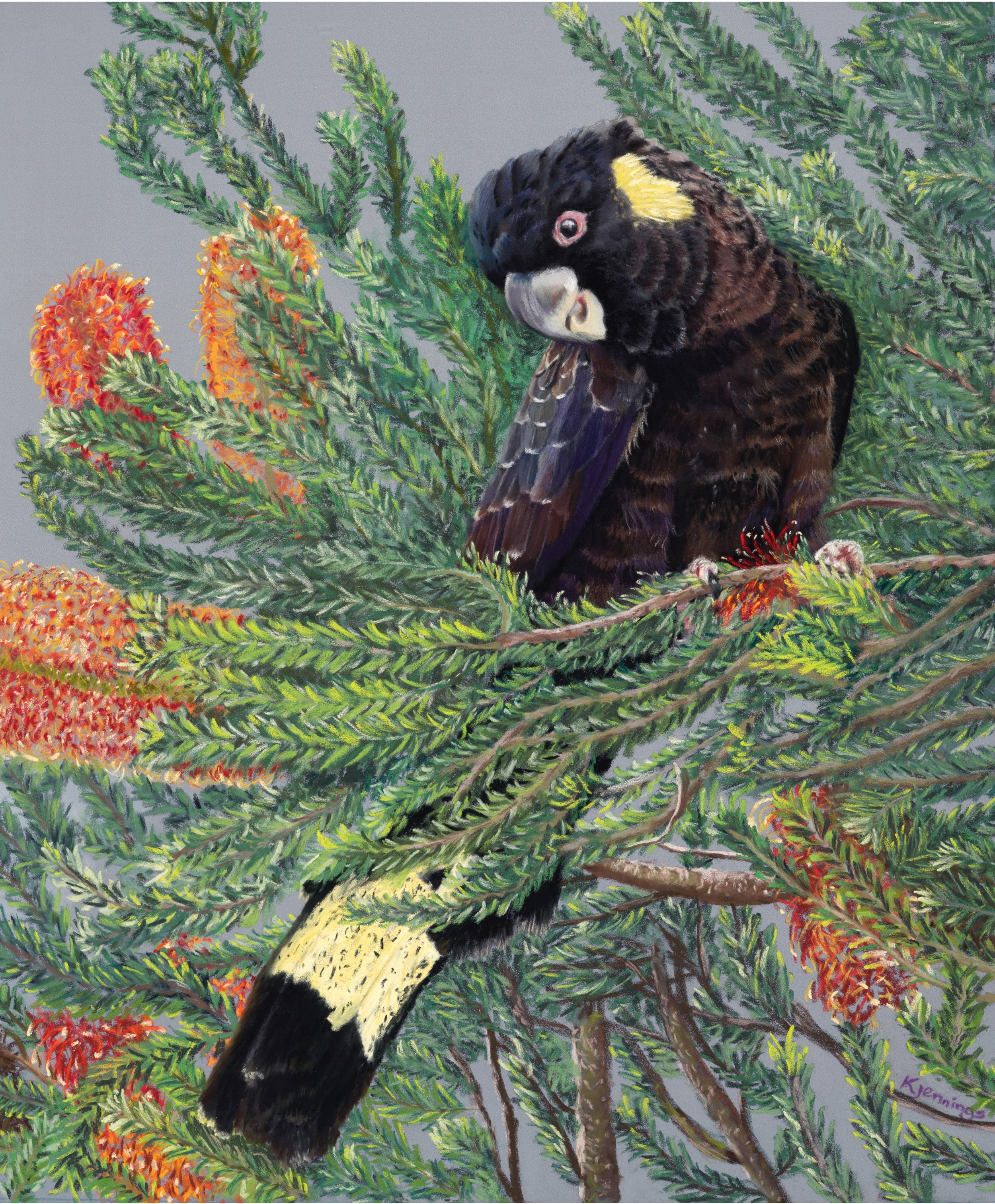 Cheeky Charmer - pastel on paper