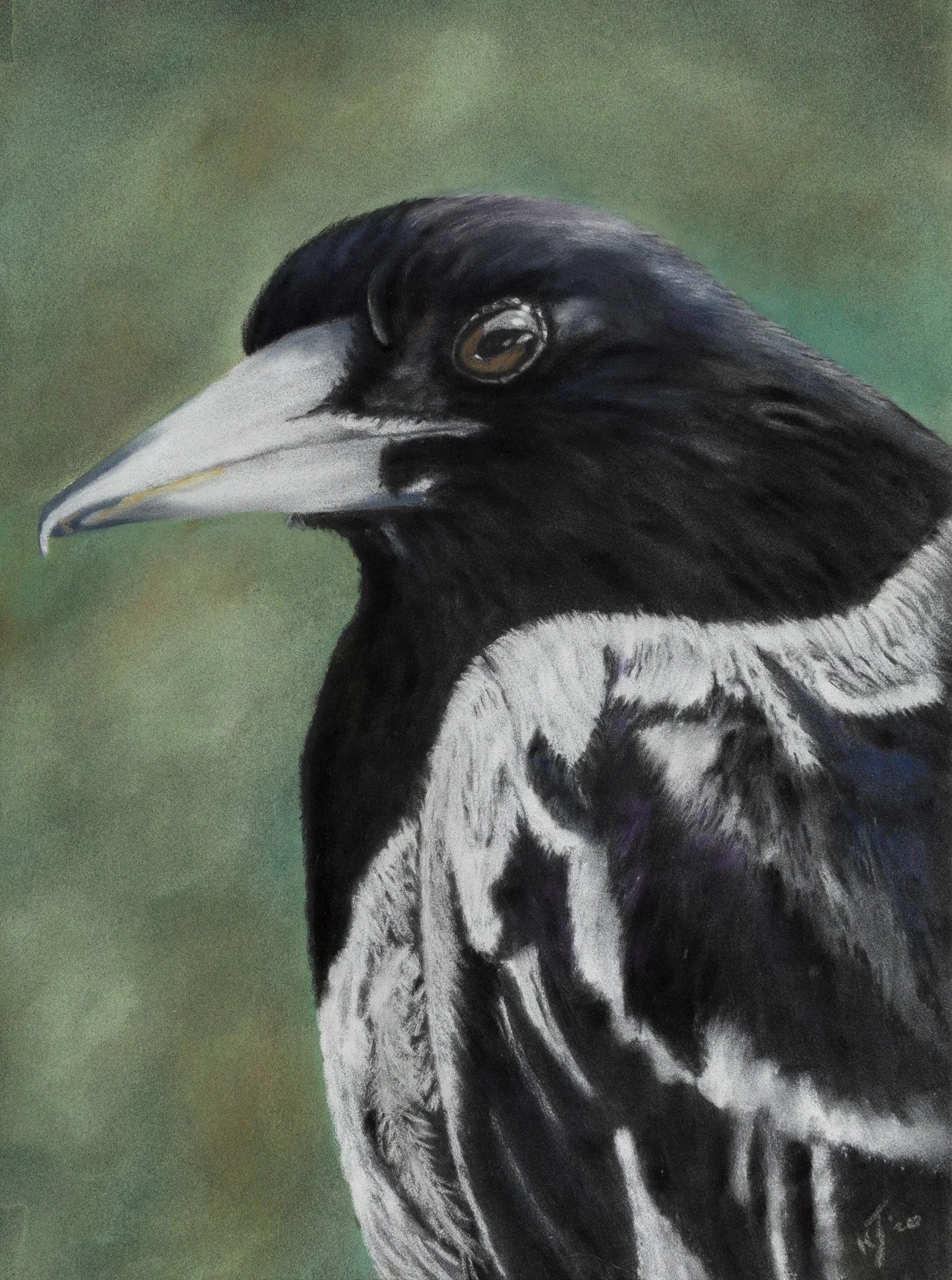 Brutus - Pastel on paper