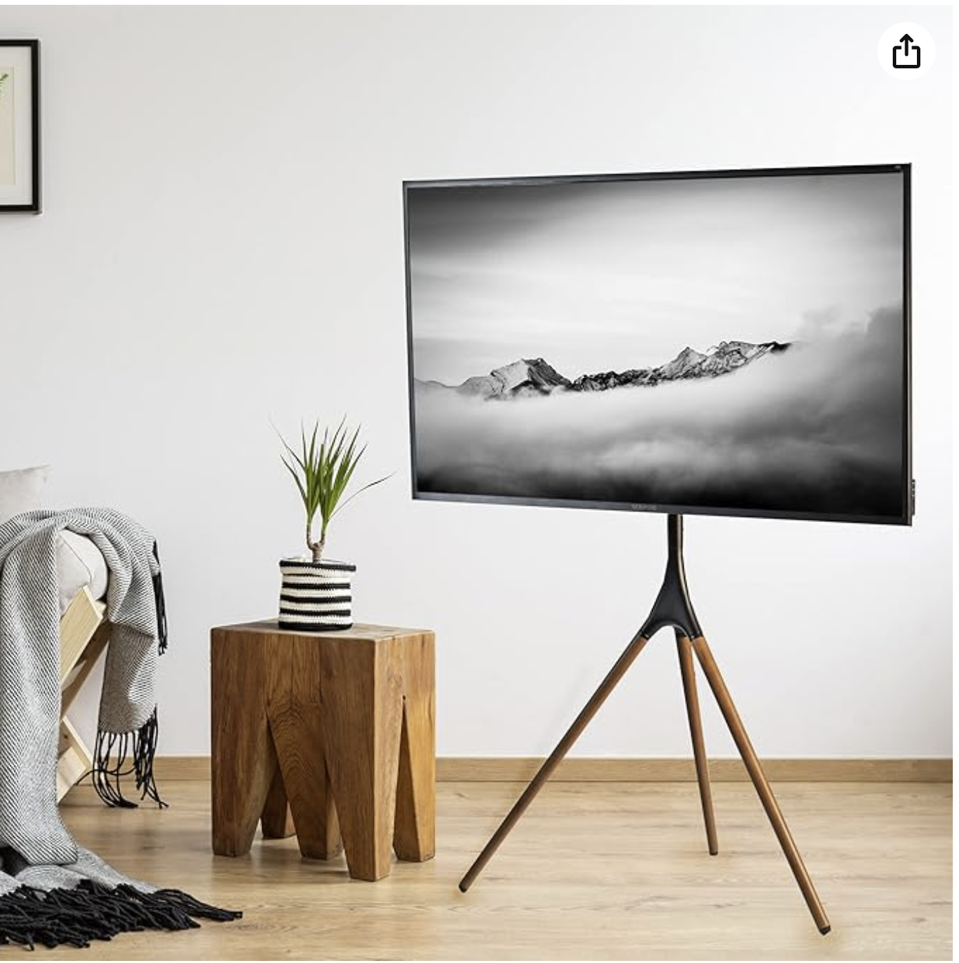 TV  to Artwork Easel 