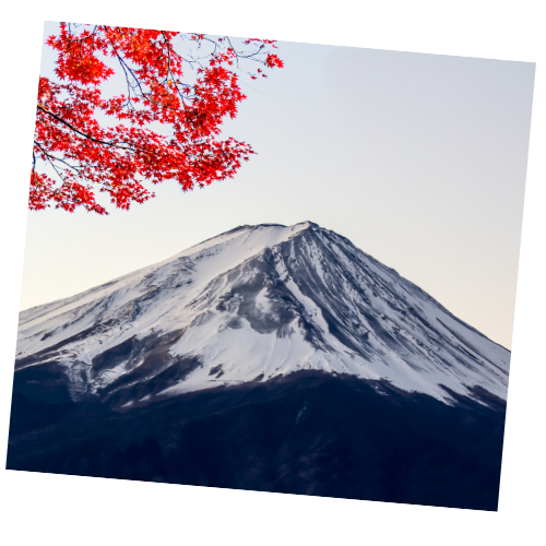 Mount Fuji with snow-capped peak and red autumn leaves in the foreground.