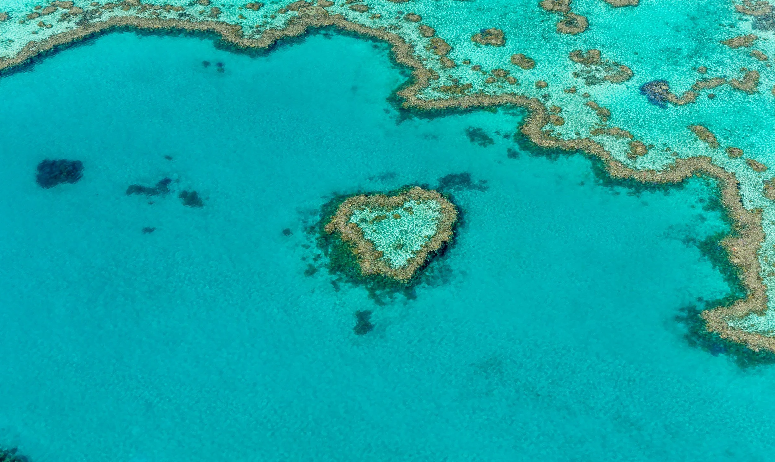 Aerial view of a heart-shaped coral reef within a turquoise ocean surrounded by smaller coral formations.