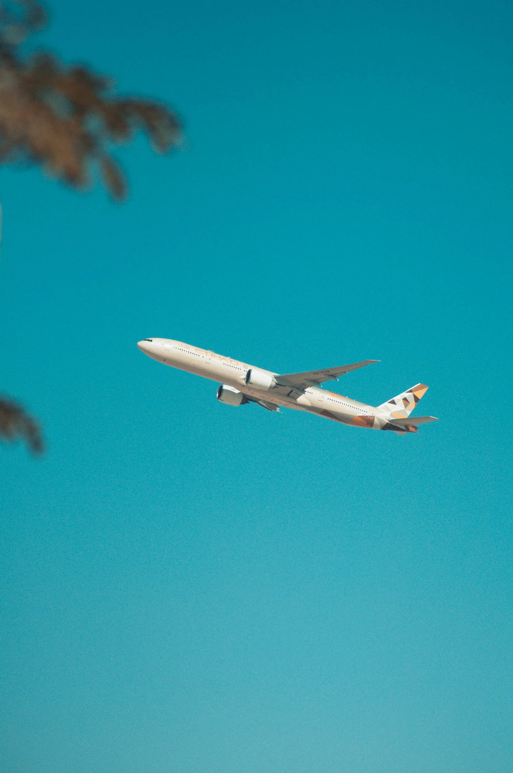 A commercial airplane flying in a clear blue sky, with part of a tree visible on the upper left corner.