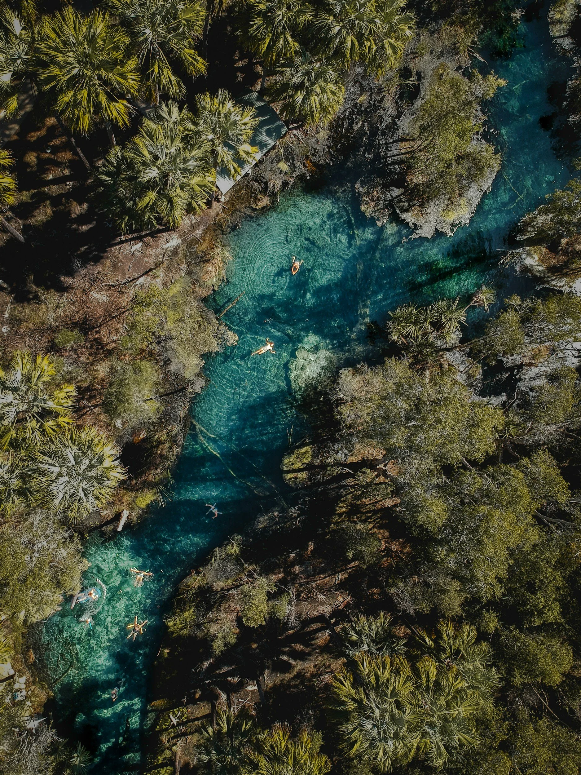 Aerial view of a forest with a clear blue stream running through it, with people swimming and relaxing in the water.