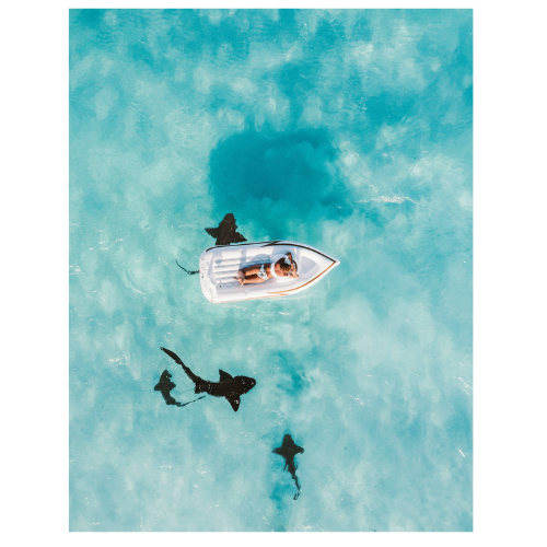 Person lying on a small boat in clear blue water, surrounded by three sharks swimming nearby.