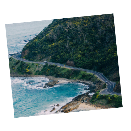 Coastal road winding along the edge of a forested cliffside near the ocean