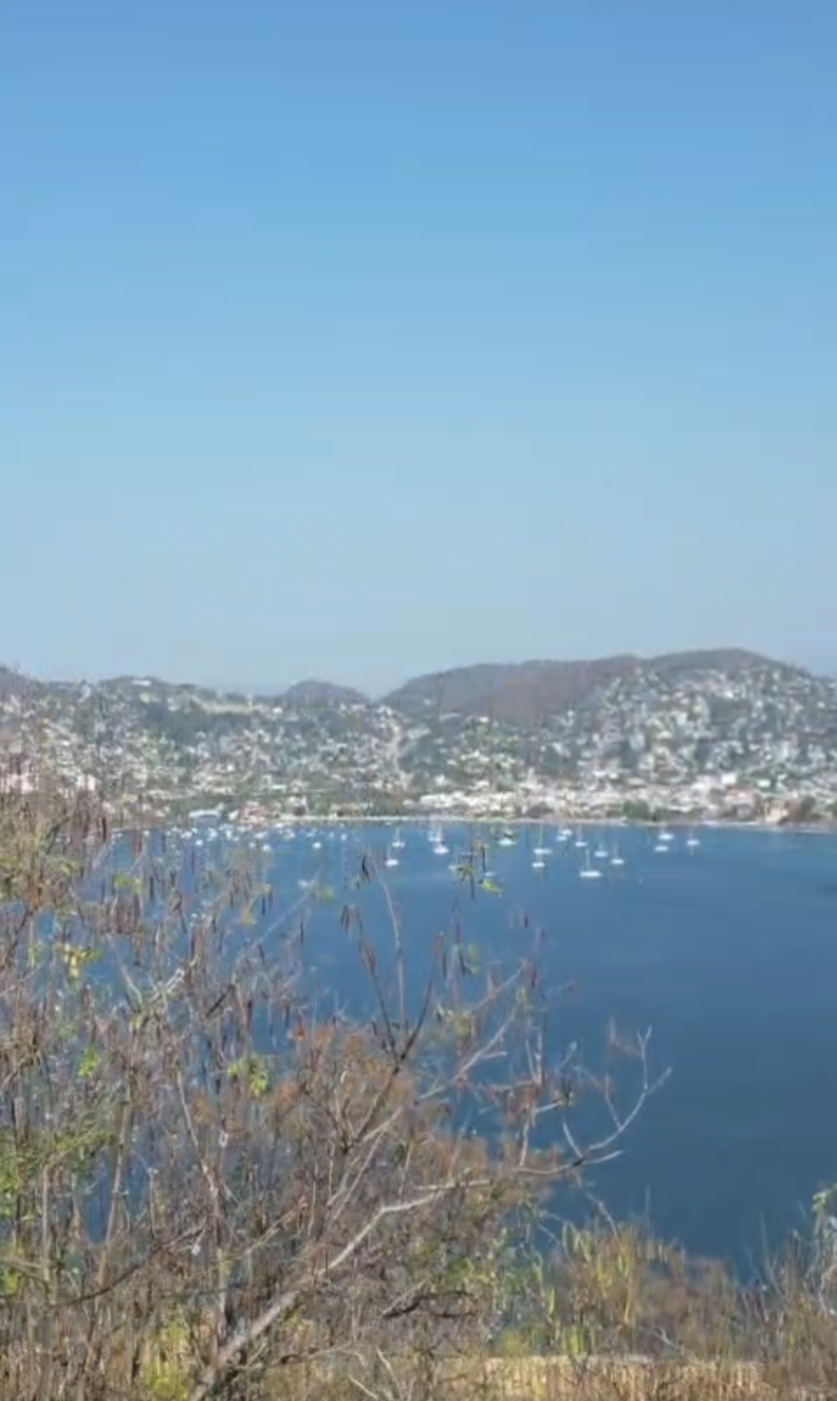 LOT20MZ2 right side view.png