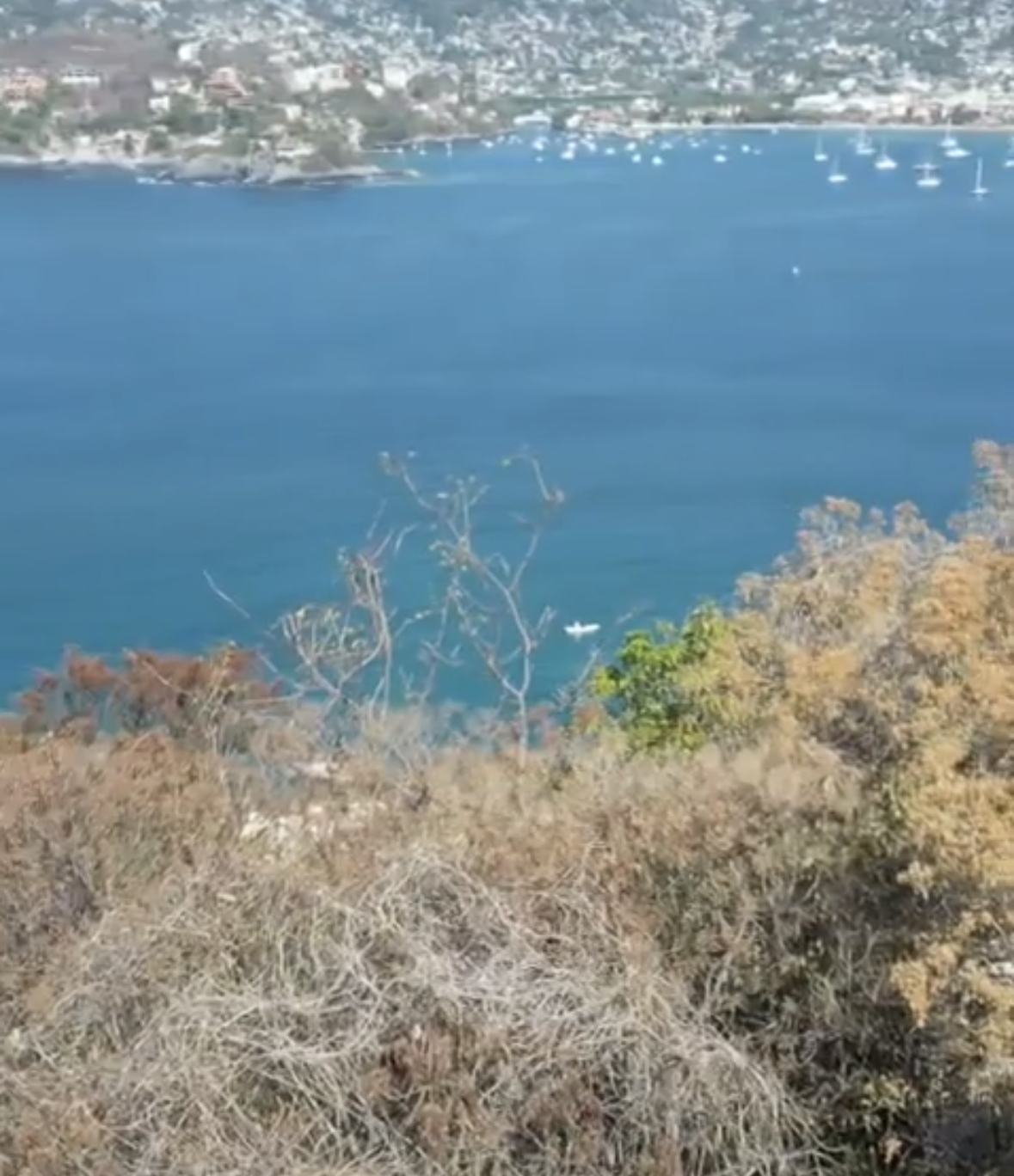 L15M10 right view .png