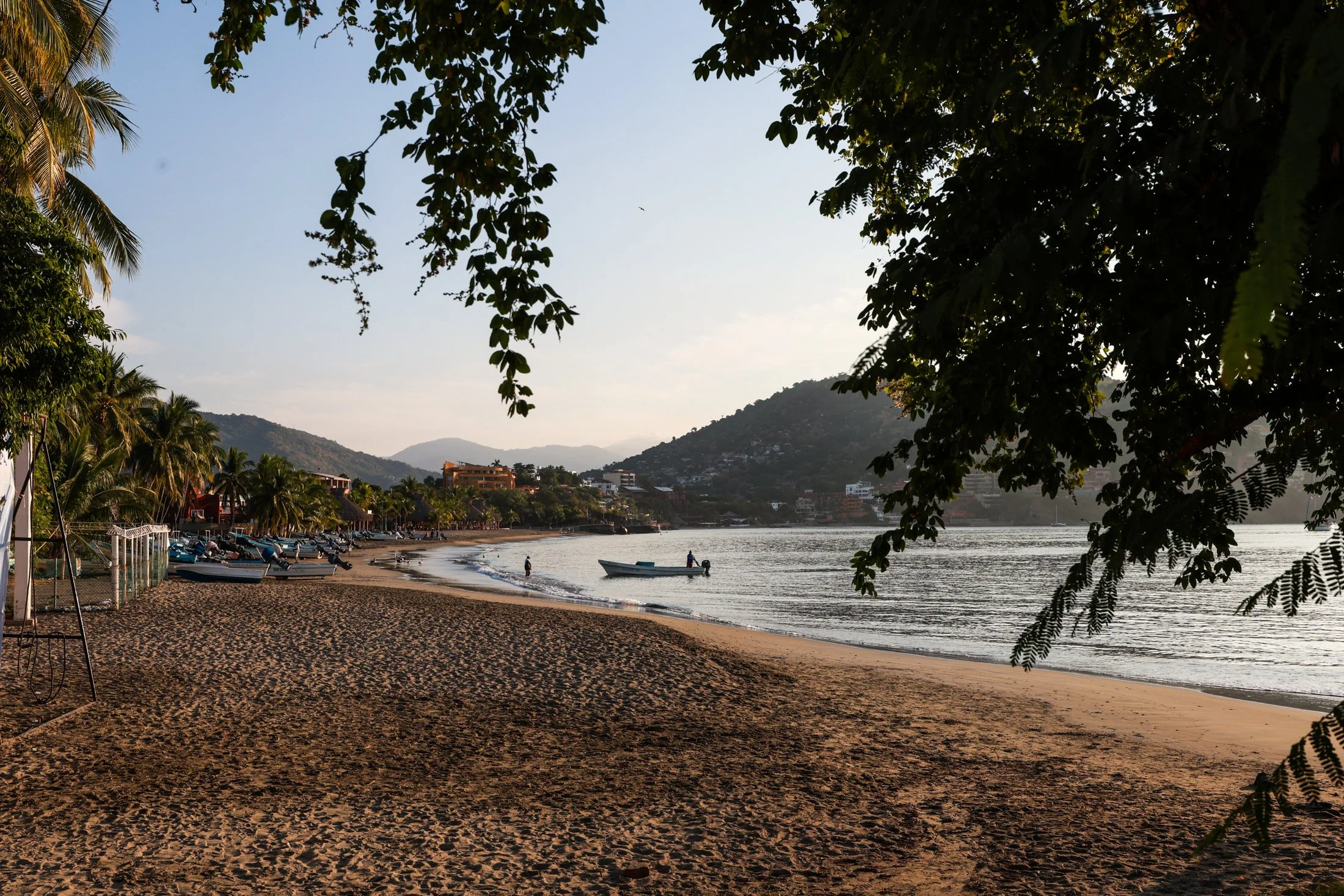 A scenic beach view with sandy shoreline, boats floating on calm water, lush trees overhead, and hills in the background during sunset. playa principal zihuatanejo.