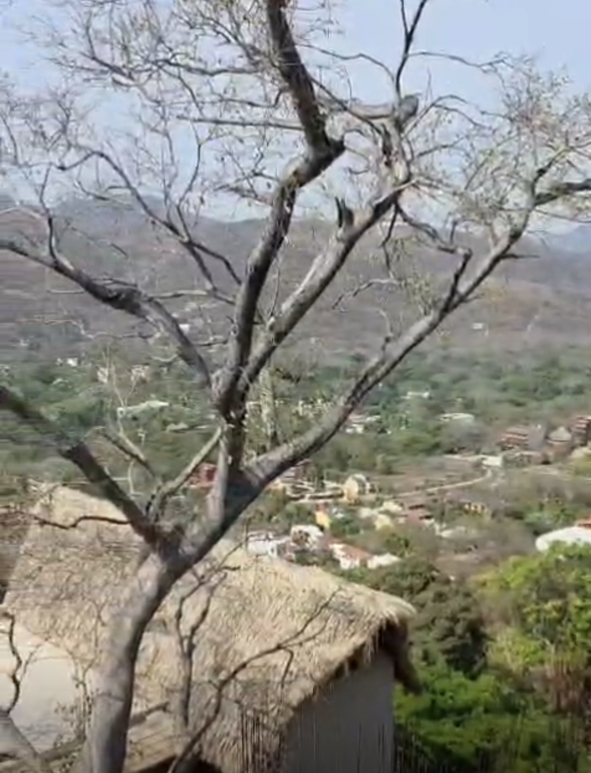 D12 View Tuyakua.png