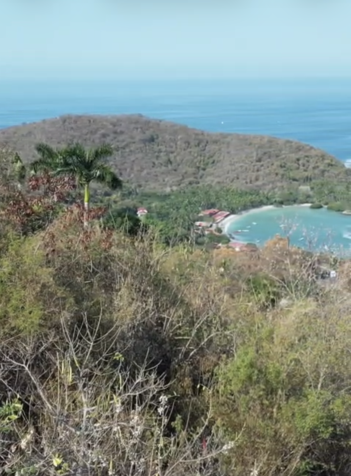 L20M2 left side view .png