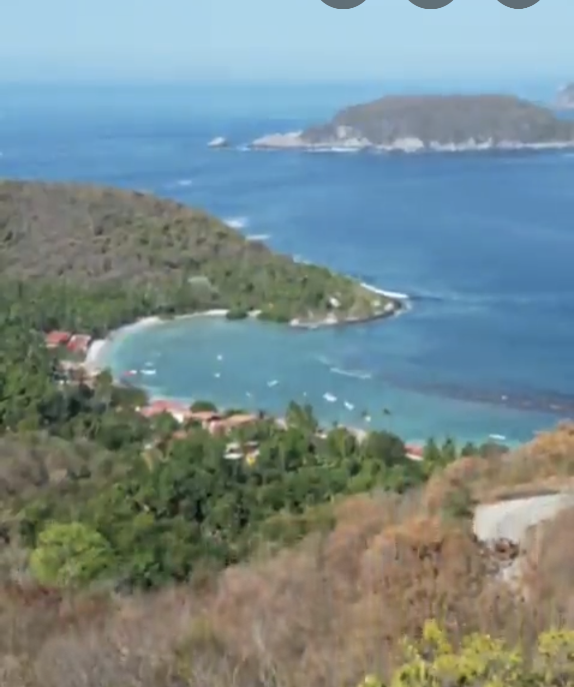 L15M10 frontal view.png