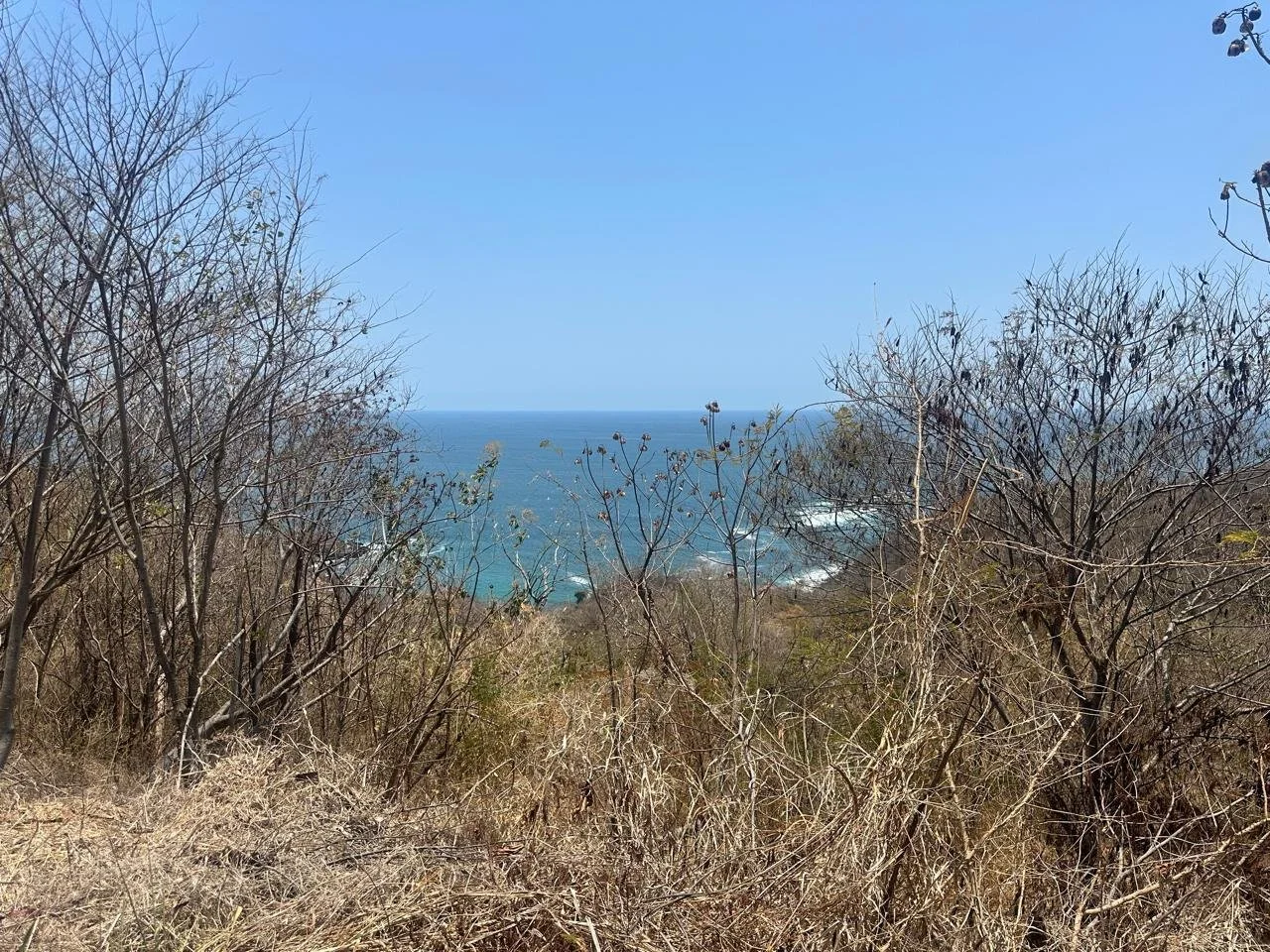 Private Collection · Riscalillo Lot 3 · Pacific & Morros de Potosí Views