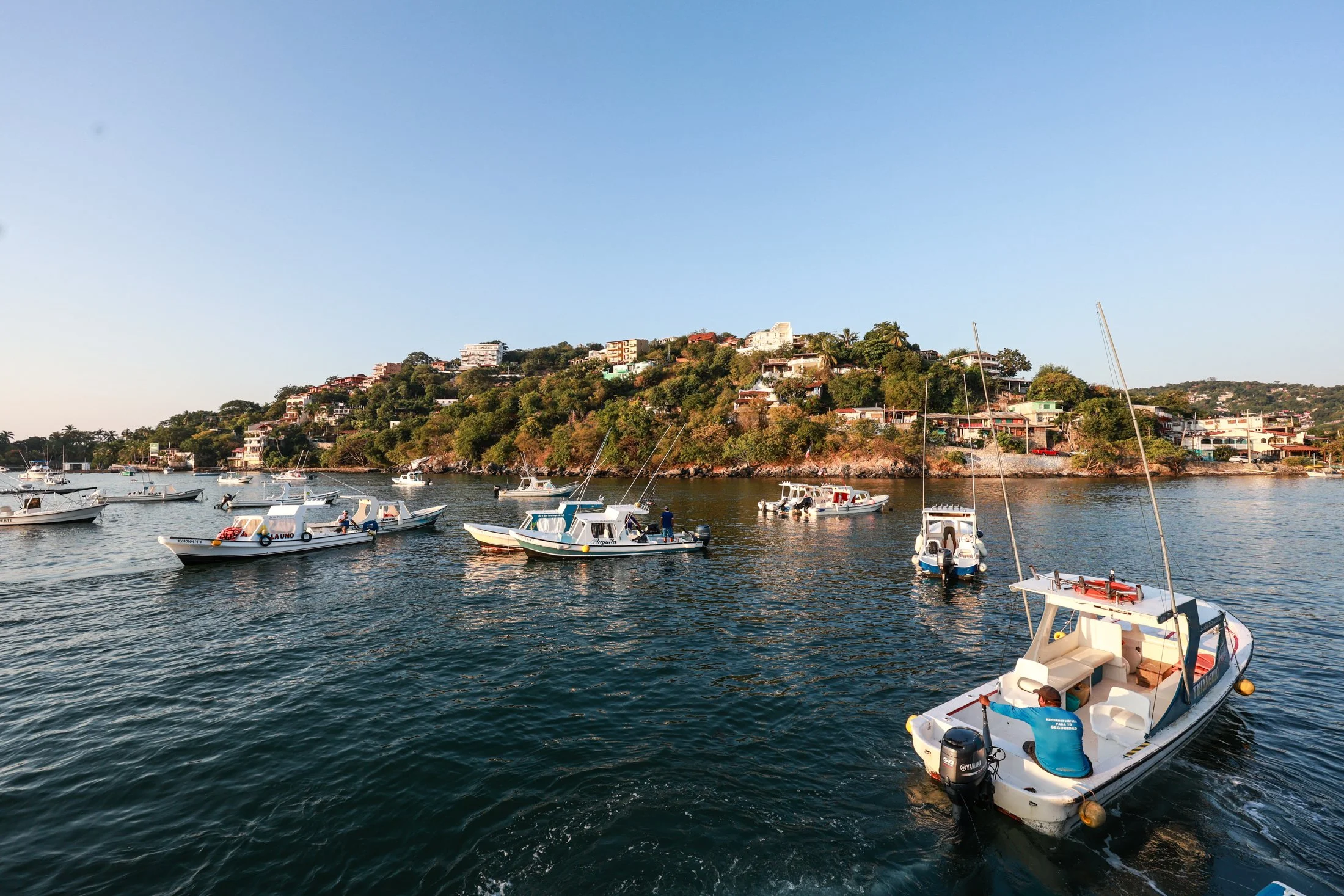 Panga Boats in Zihutaanejo