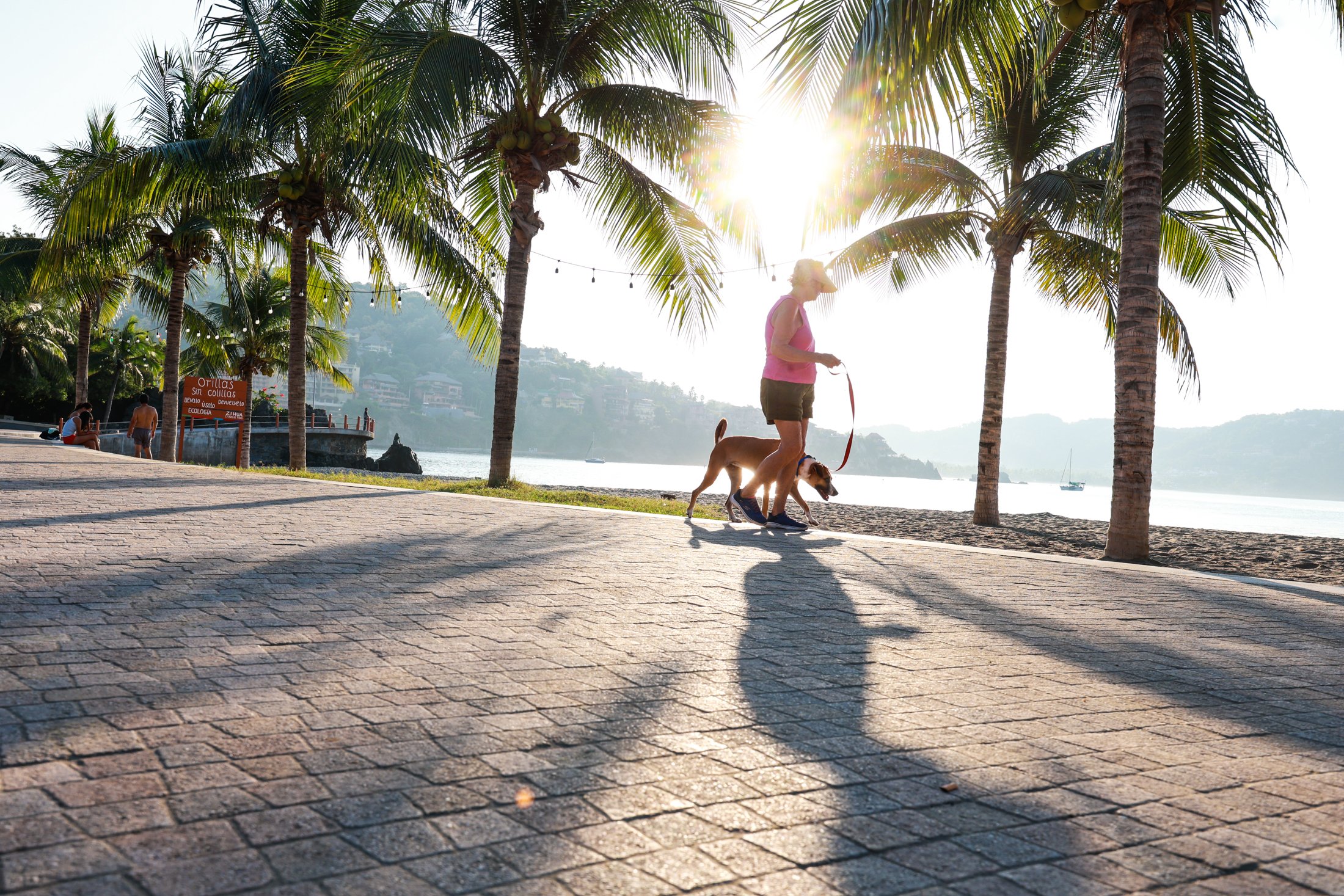 walking a dog among el capricho del rey zihutanejo in the morning