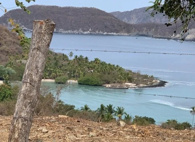 image10.jpg