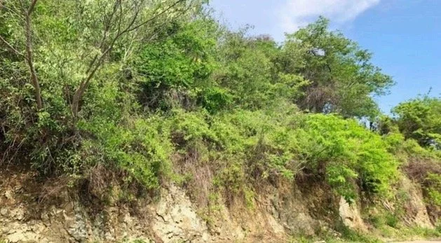 Lote 32 SM 12 la Ropa -3.JPG