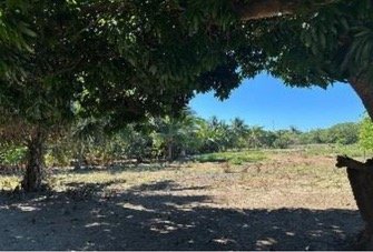 Terreno la puerta -3.JPG