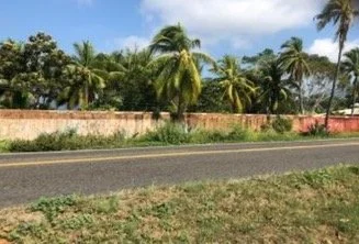 Terreno la puerta -1.JPG