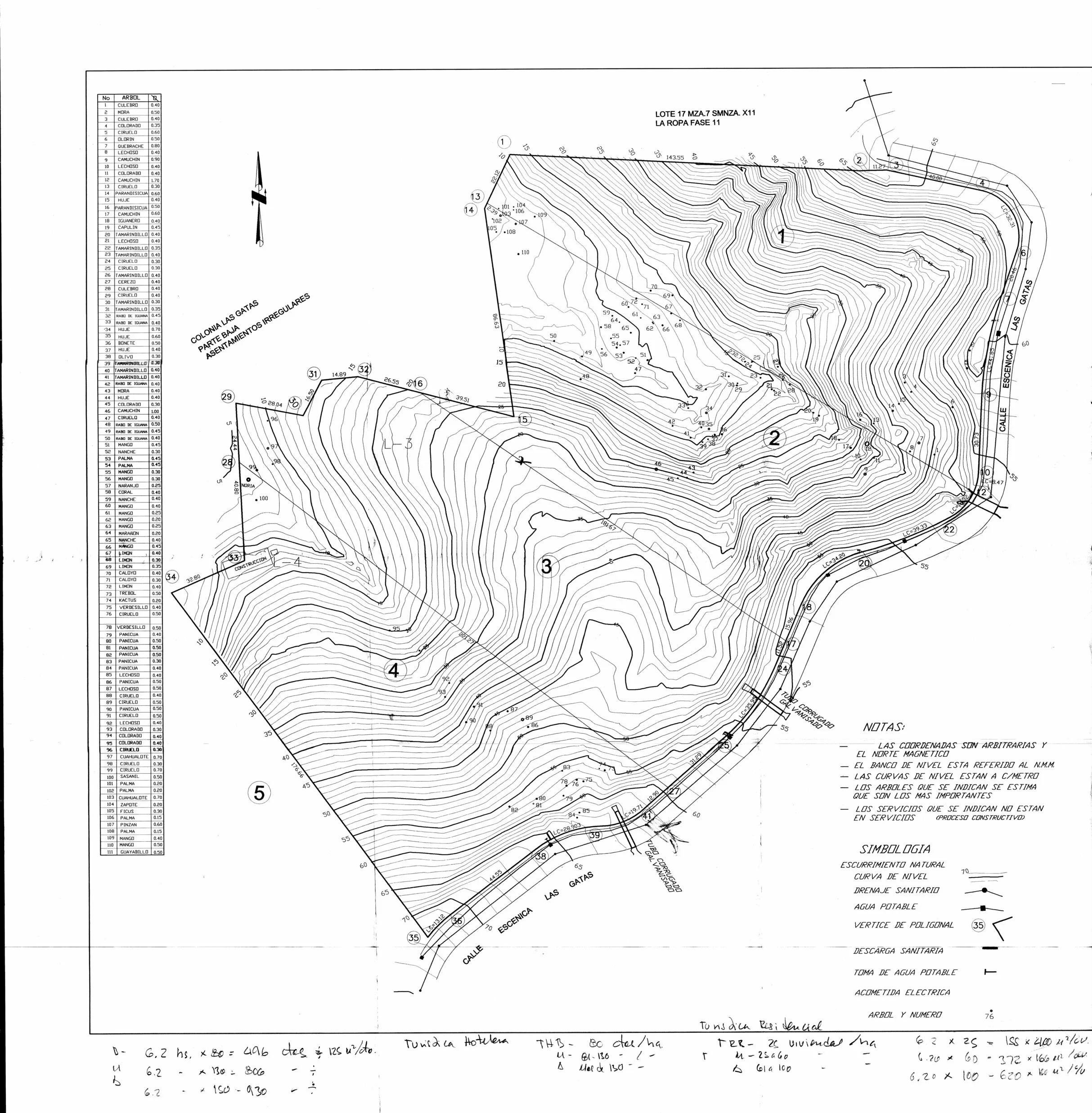 image5.jpg