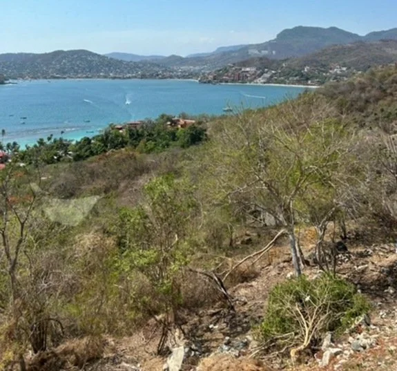 image8.jpg