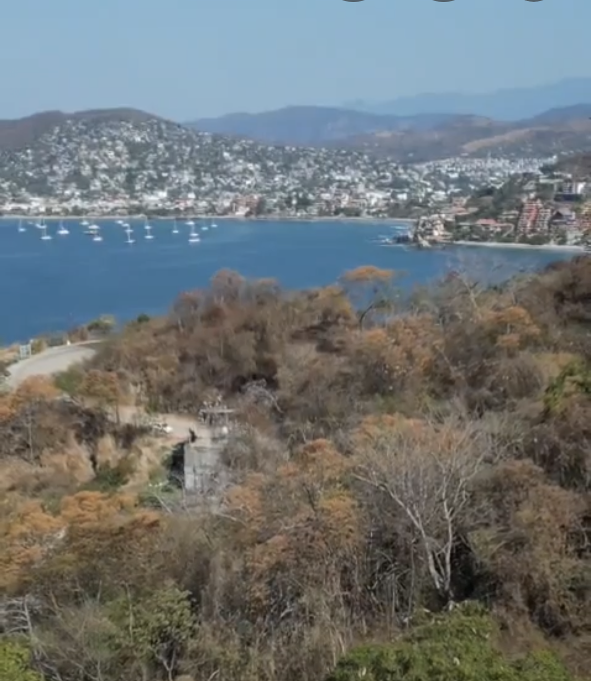 L3M10 right view .png