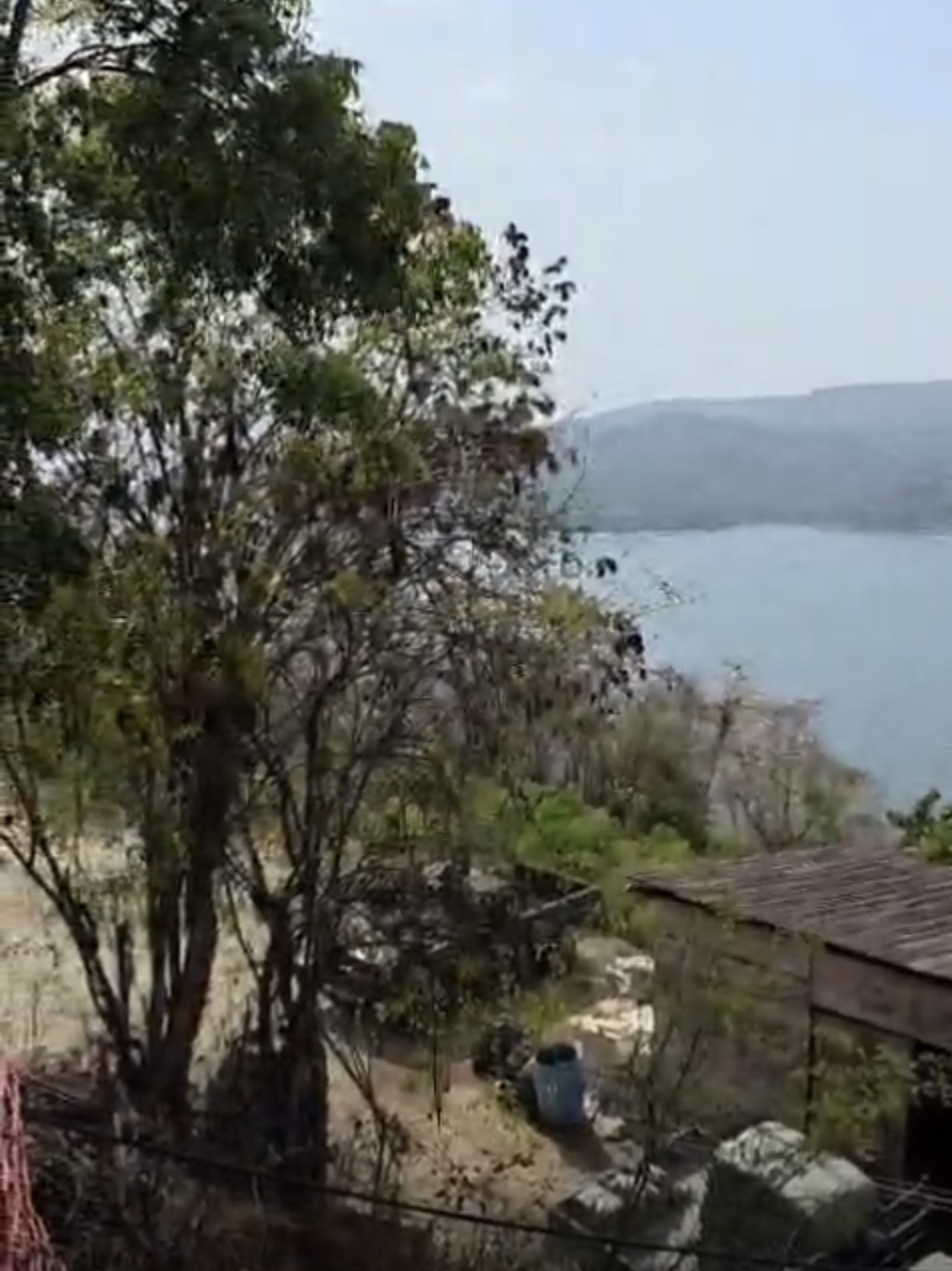 tuyakua d14 left view .png