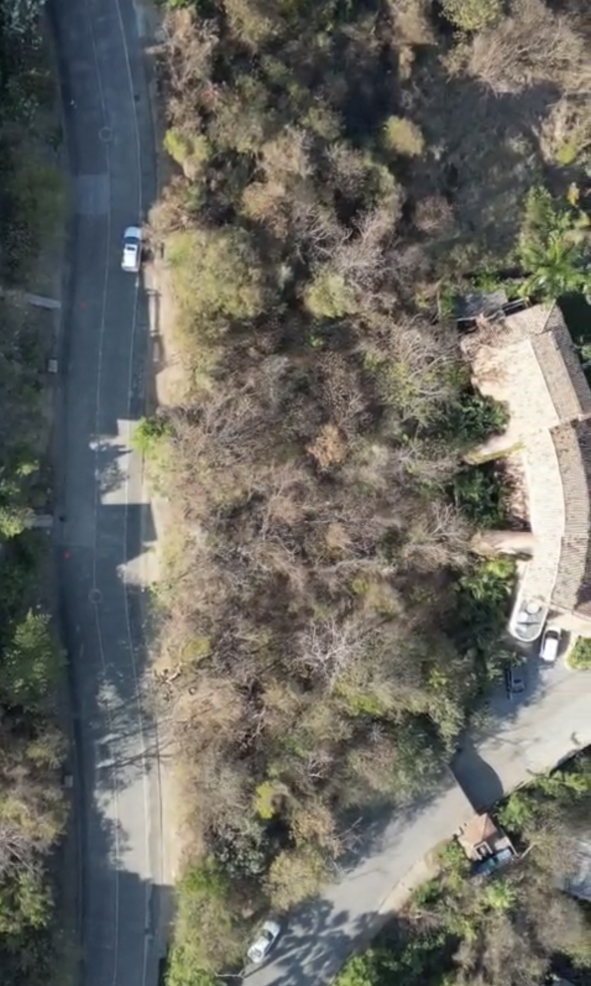 L20M2 view from above  .png