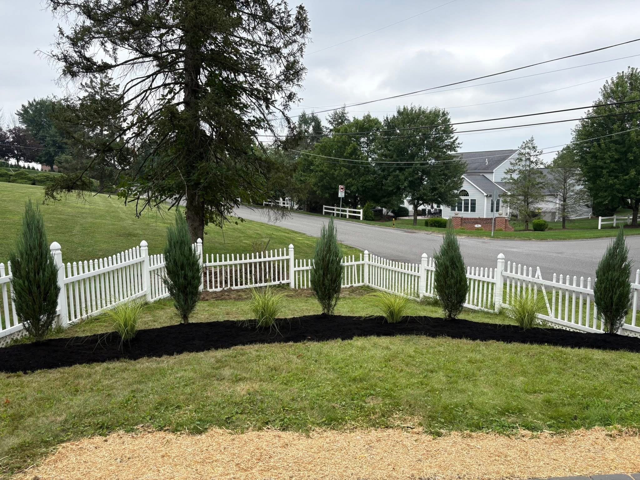 Residential backyard with green grass, small plants with dark mulch, white picket fence, trees, and neighborhood houses in the background under cloudy sky.