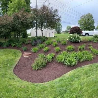 Landscaped garden bed with mulch, green plants, and shrubs surrounded by trimmed grass, with trees, power lines, and parked vehicles in the background.