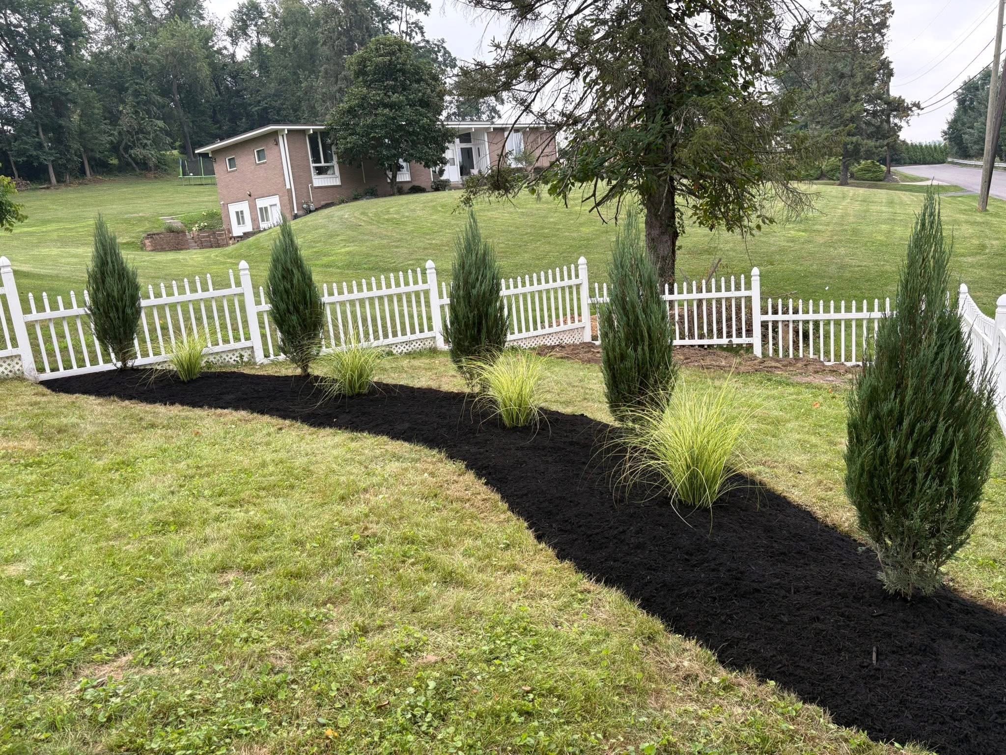 A landscaped yard with newly planted trees and shrubs, separated by a black mulch pathway, bordered by a white picket fence, with a house and grassy hill in the background.