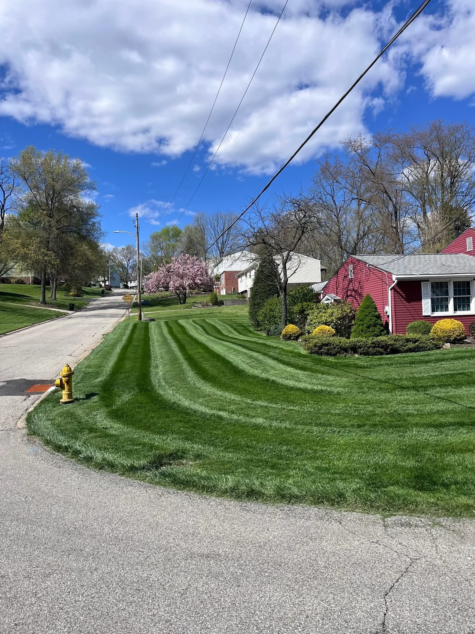 A suburban street with well-maintained green grass, trees, and houses under a partly cloudy sky.