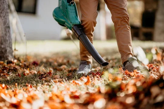 Person using leaf blower to clear fallen autumn leaves in a yard.