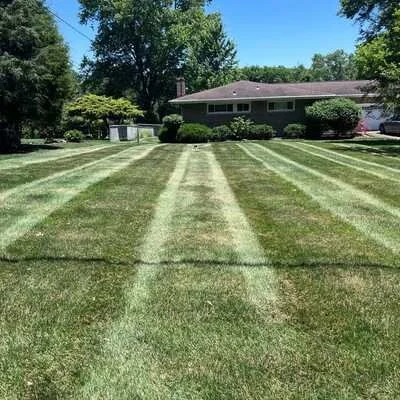 A freshly mown lawn with striped grass pattern in front of a suburban house with trees and a blue sky.