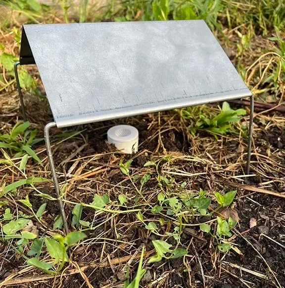 Formed sheet metal roof component providing cover and thermal stability for Grassland Earless Dragon survey kit
