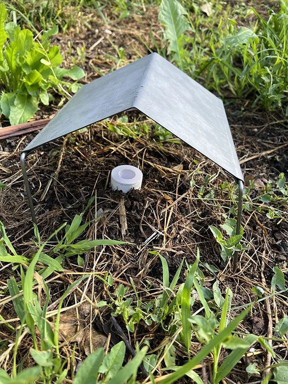 Artificial arthropod burrow survey kit for Grassland Earless Dragon monitoring