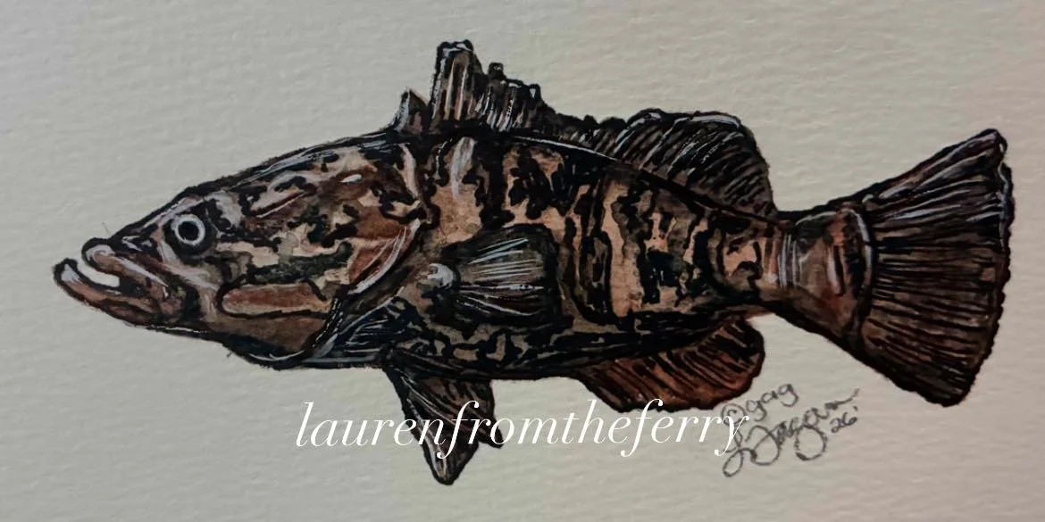 grouper.jpg