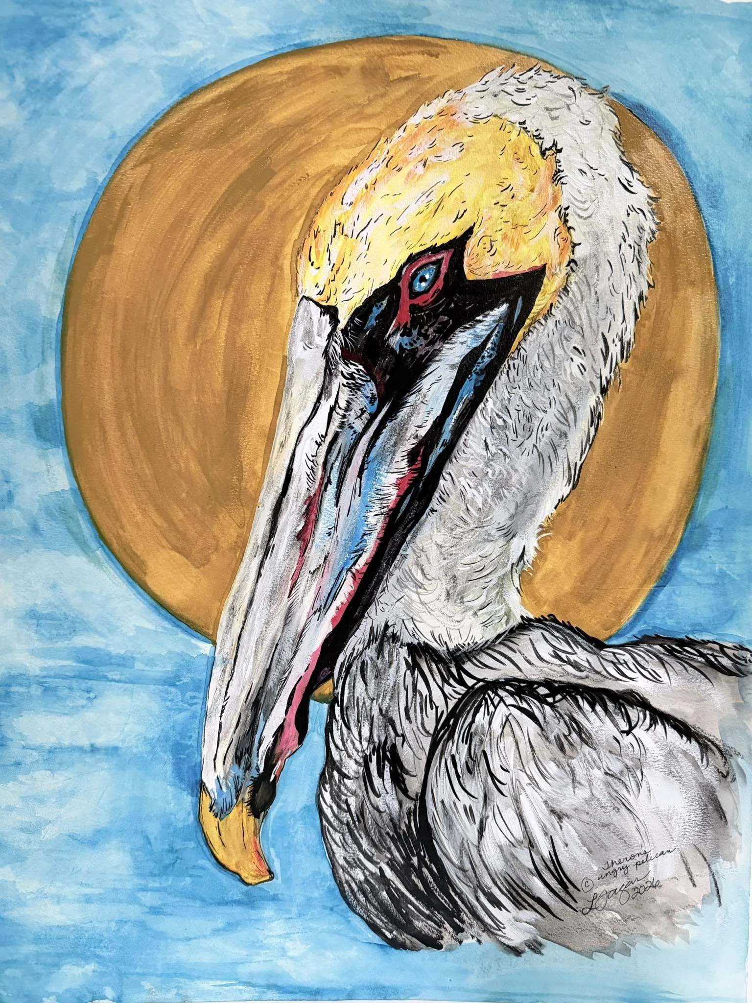 pelican.jpg