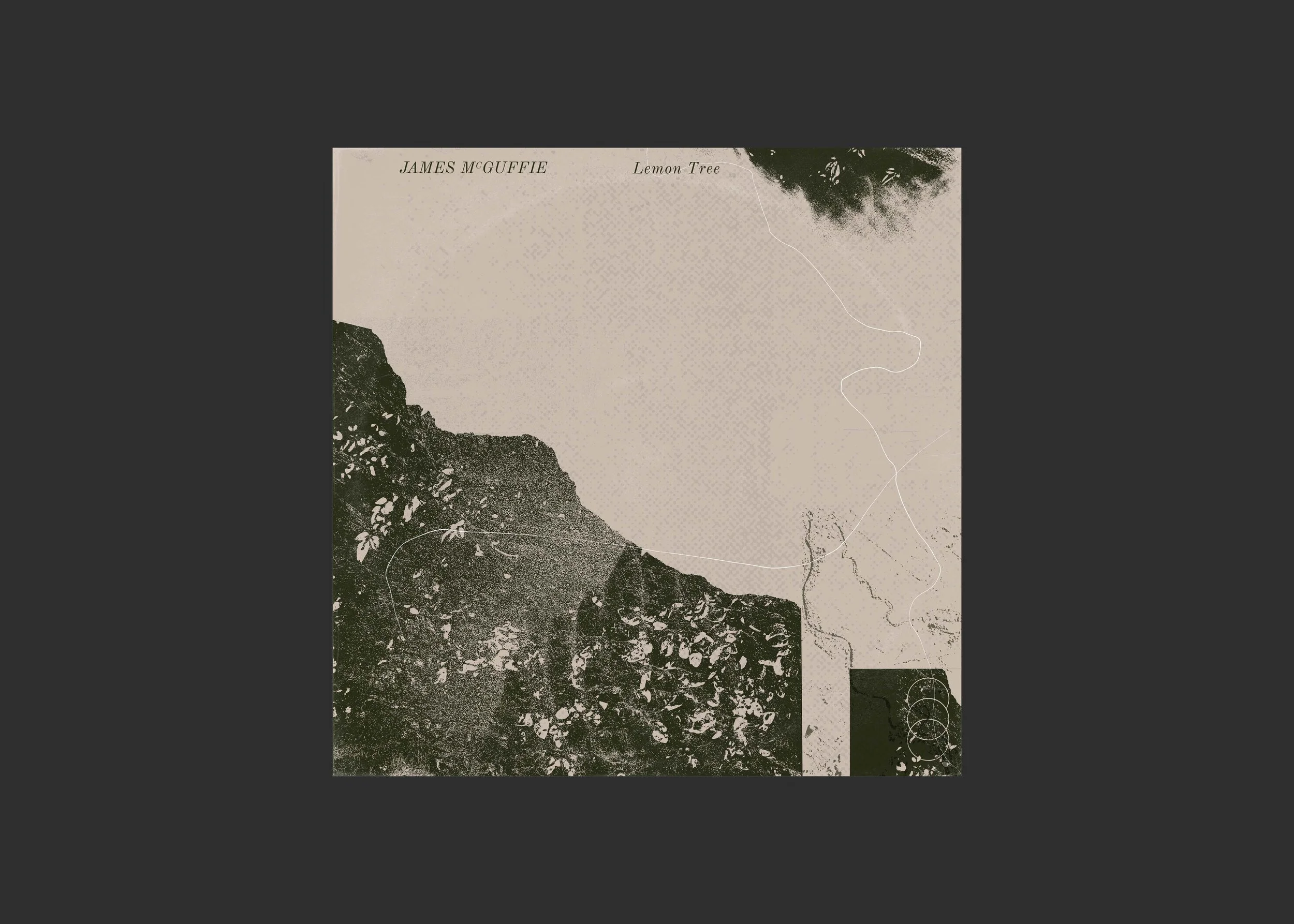 JamesMcGuffie_LemonTree_Cover_HiRes_GreyBG2.jpg