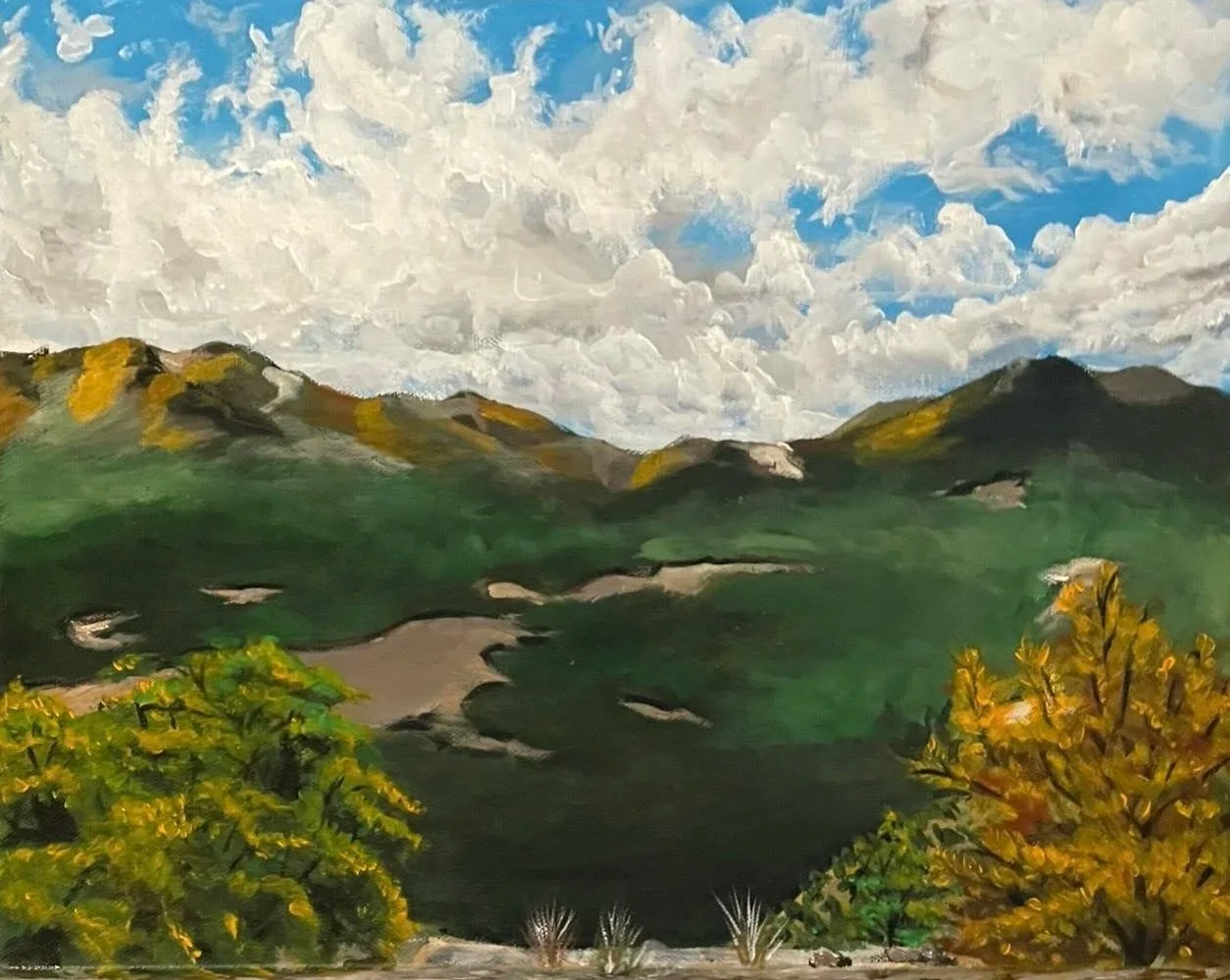 "Hiking Viewpoint", 2023, Acrylic on Canvas, 12 x 16 inches