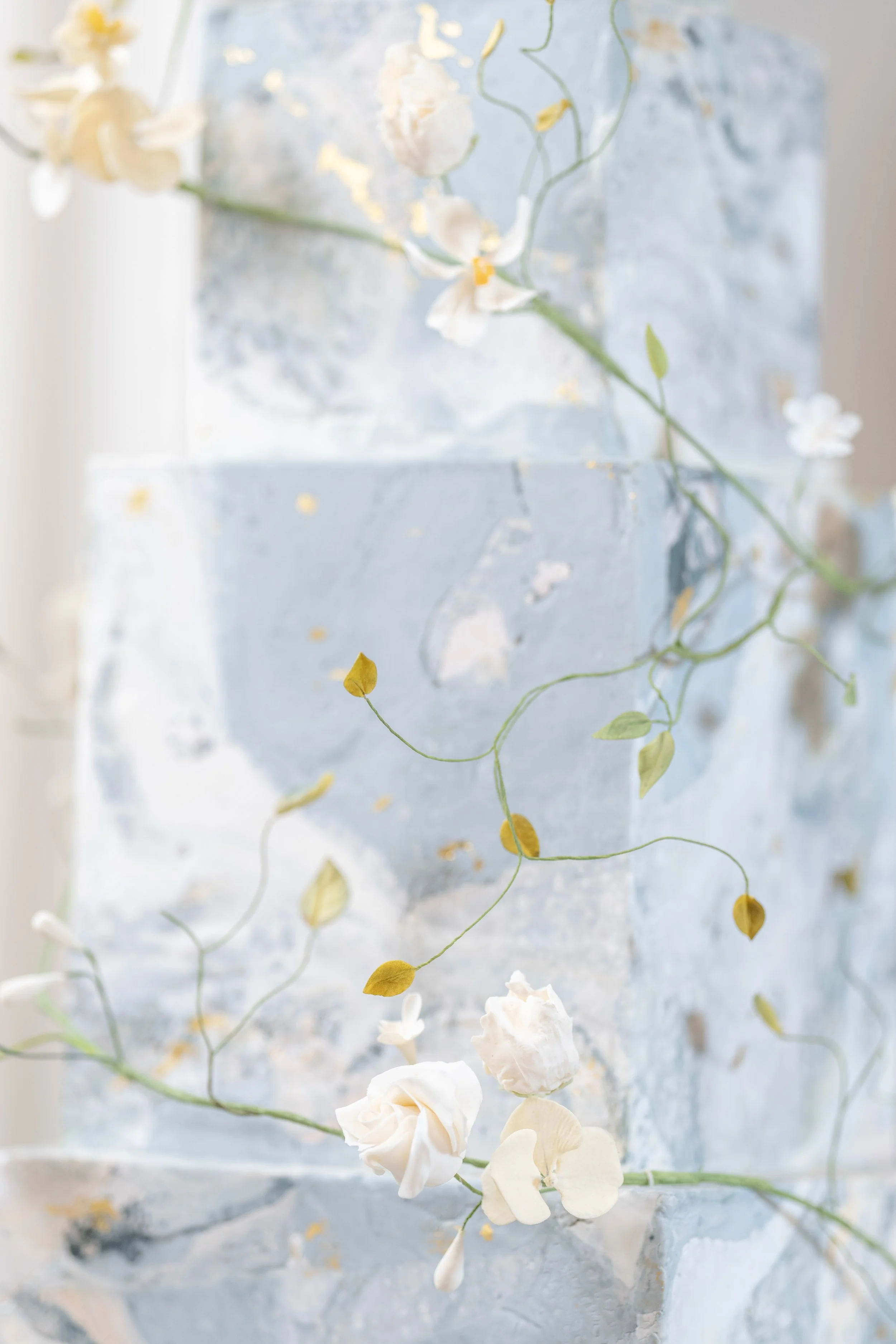 AR504755-copy.jpg