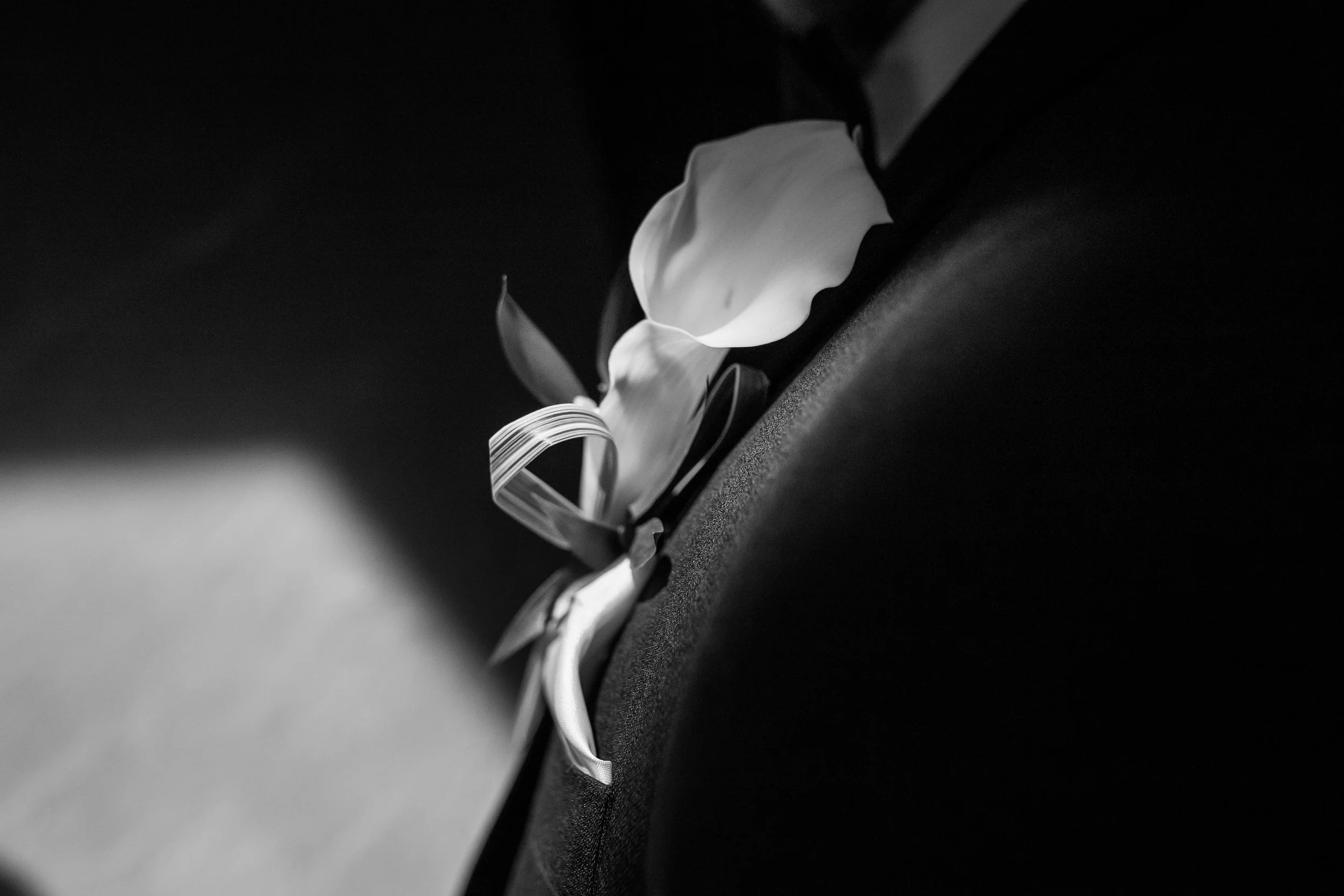 IMG_8655 copyligthroom edit.jpg