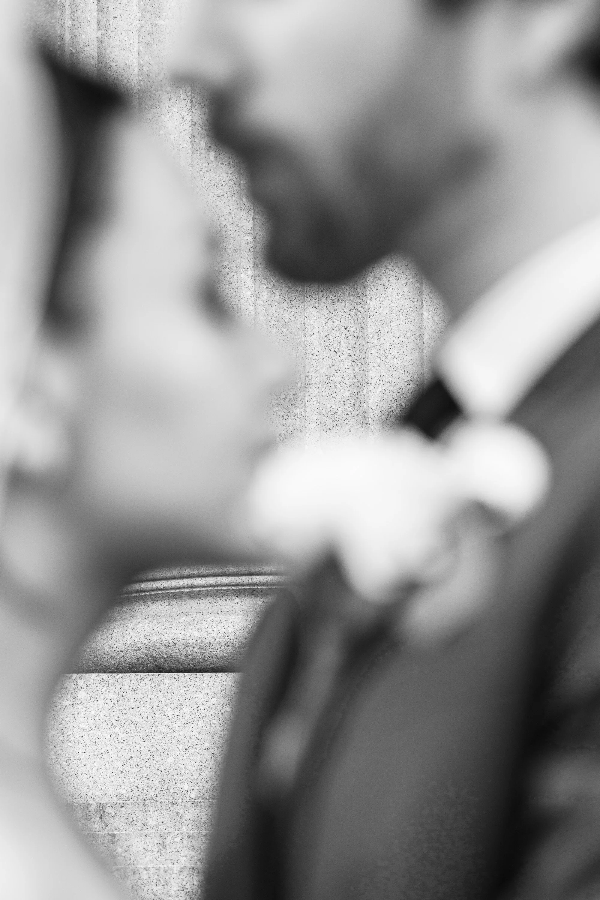 AR500275 copyligthroom edit.jpg