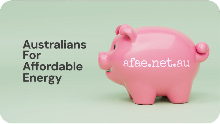 Welcome to Australians for Affordable Energy.