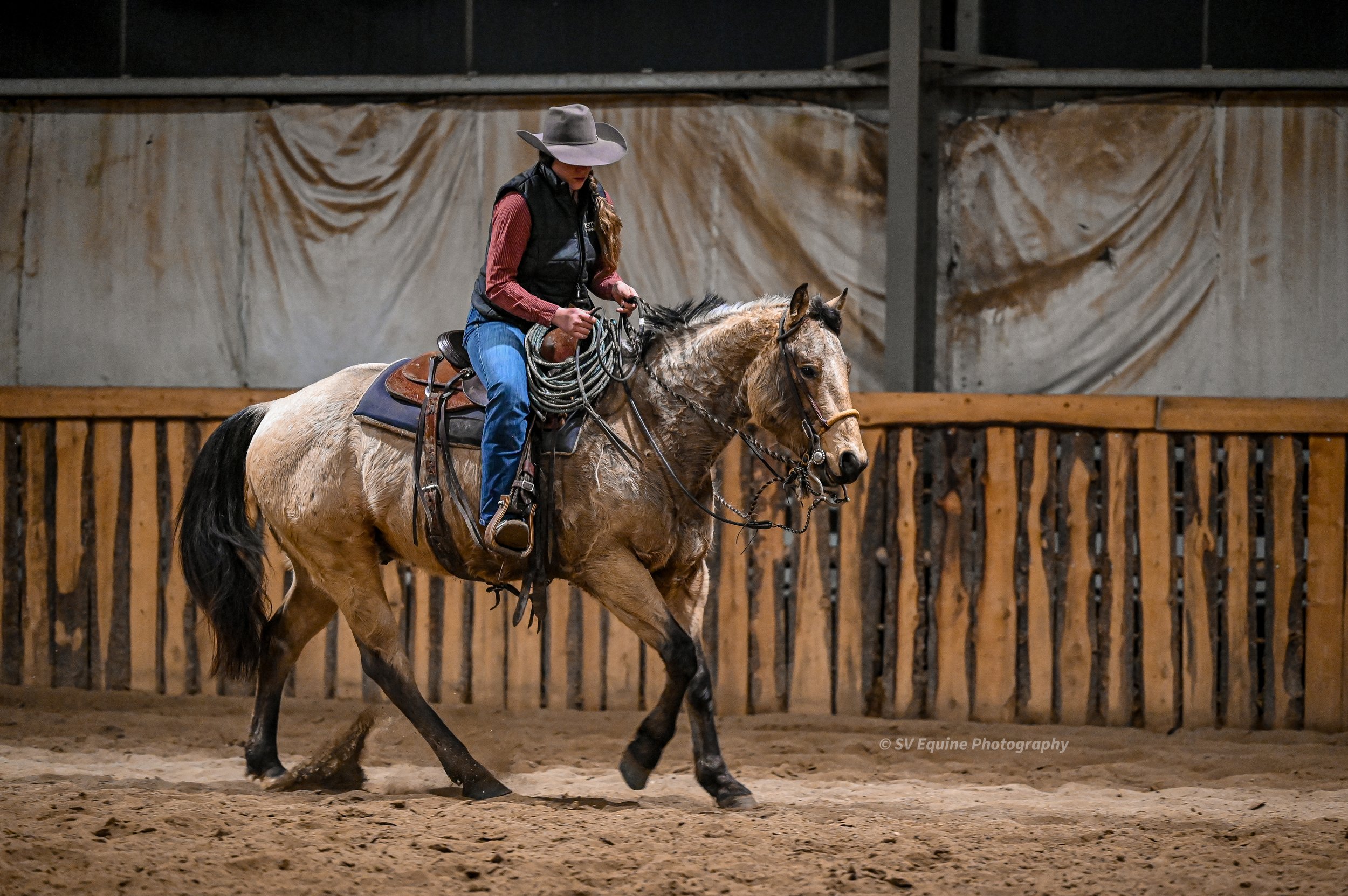 A woman riding a buckskin horse in a traditional 2-rein set up in an indoor riding arena with a sand floor and wooden fence, wearing a wide-brimmed hat, vest, and jeans, holding the reins.