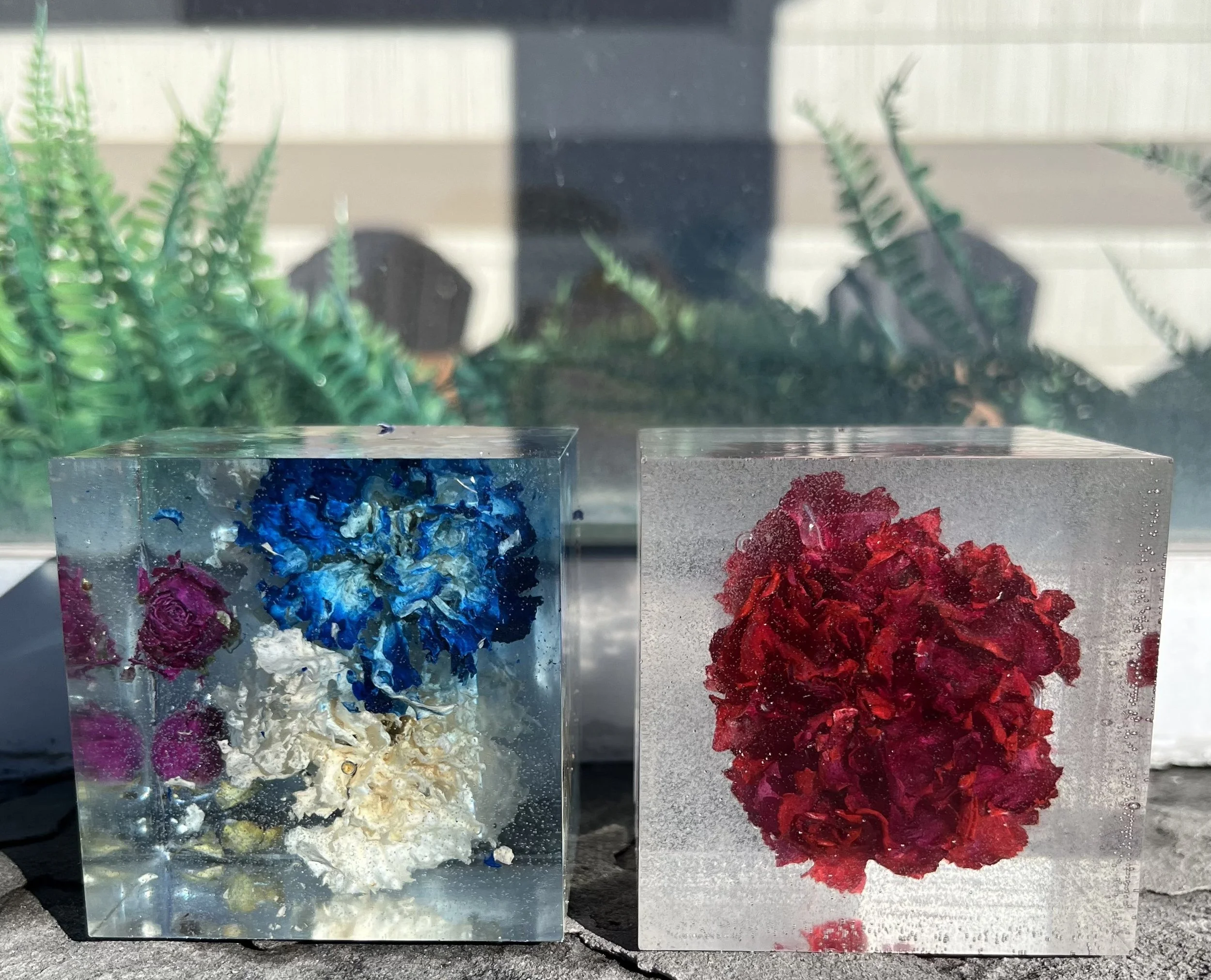 Two clear resin blocks with preserved flowers inside, one with blue, white, and purple flowers and the other with red flowers, placed outdoors with green plants in the background.