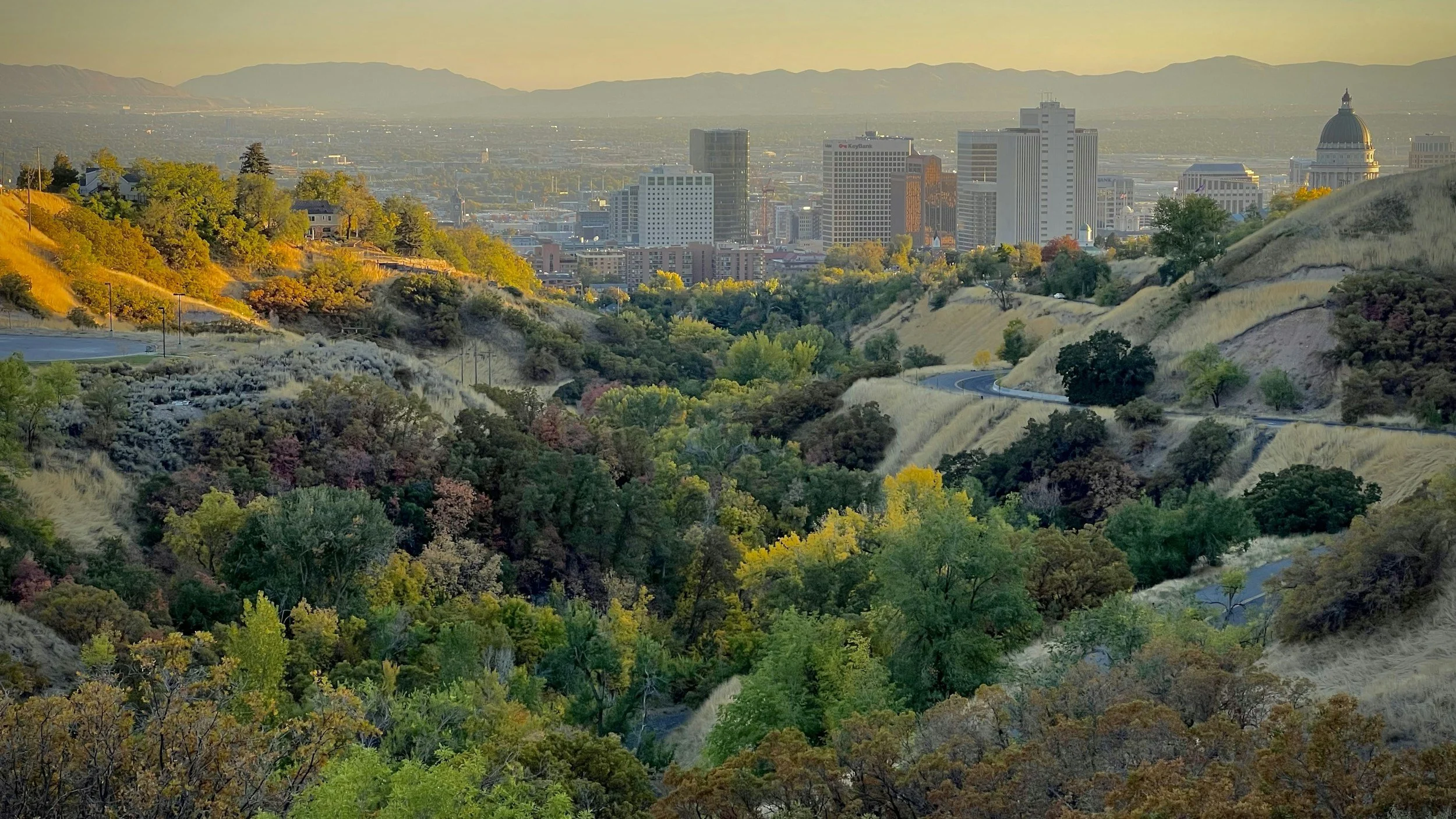 Cityscape with tall buildings in the background, rolling hills and lush green trees in the foreground, at sunset in an urban park.