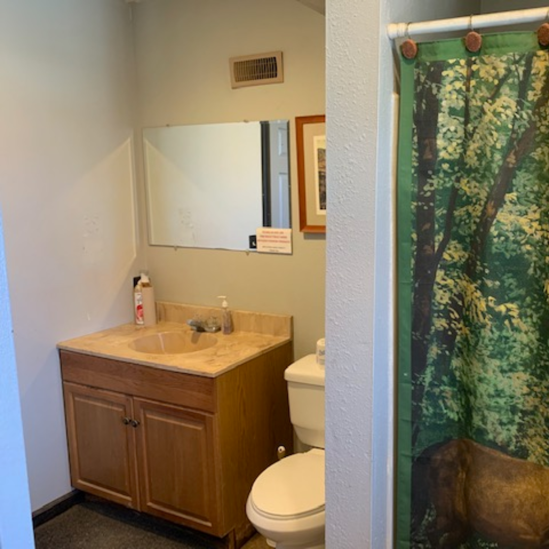Small bathroom with a wooden vanity sink, mirror, and toiletries, partial view of a toilet, and a forest-themed shower curtain with trees and wildlife.