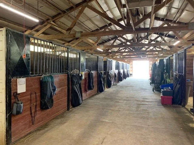 Inside a horse stable with stalls on either side.