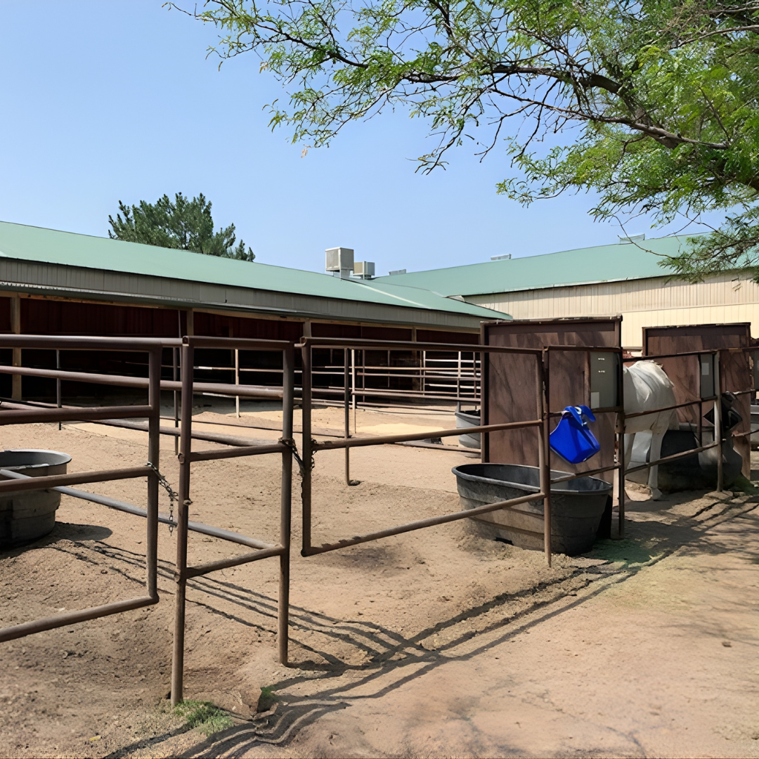 Private outdoor pen.